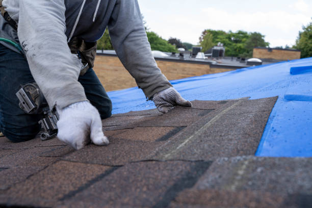 Best Storm Damage Roof Repair  in Morton, PA